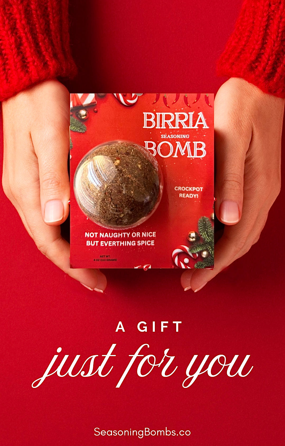 Birria seasoning Bombs Holiday Special